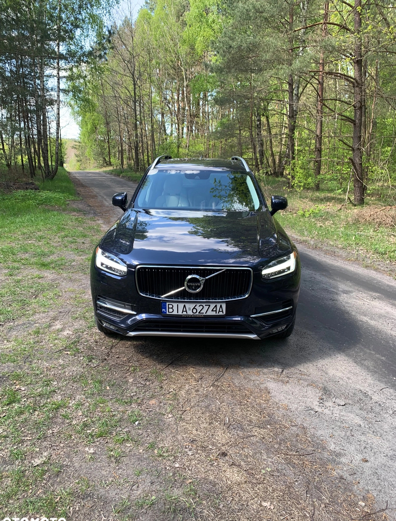 Volvo XC 90 cena 115000 przebieg: 151500, rok produkcji 2015 z Wołczyn małe 781